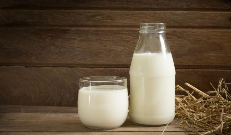 Differenze latte di mucca e latte materno
